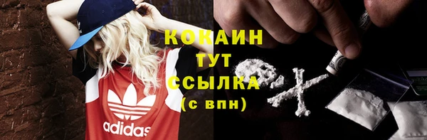 a pvp Краснослободск