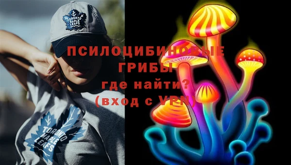 прущий лед Армянск