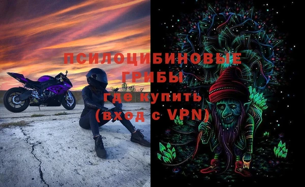 прущая мука Арсеньев