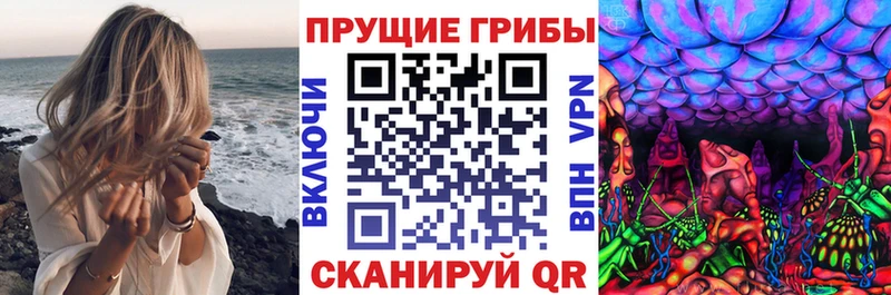 Псилоцибиновые грибы GOLDEN TEACHER  цена   Родники 